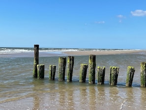 A beach with wooden posts covered in green algae, a sandy shore, and the ocean in the background.