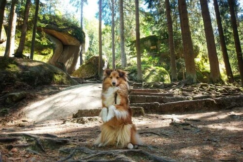 Erholung in der Natur: Tiny-Hohenberg in Hohenberg an der Eger