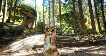 Recreation in nature: Tiny-Hohenberg in Hohenberg an der Eger