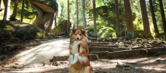 Recreation in nature: Tiny-Hohenberg in Hohenberg an der Eger