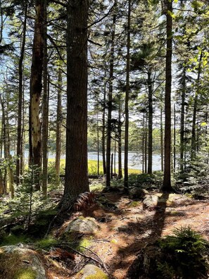 Unclassified image, 4 of 56, button