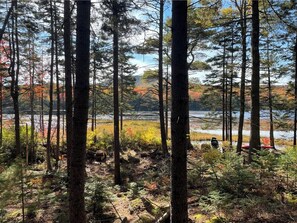 Property grounds - Rustic and Stylish Cabin on Stunning Serene Pond (Blue Hill)