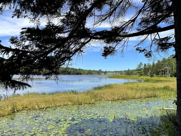 Unclassified image, 1 of 56, button