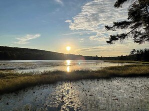 Unclassified image, 5 of 56, button