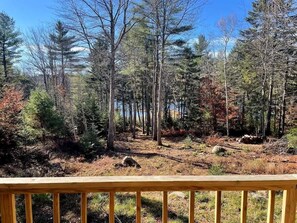 Unclassified image, 2 of 56, button