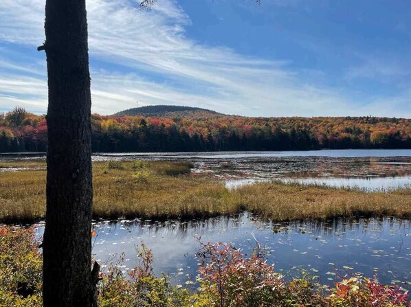 Unclassified image, 1 of 68, button