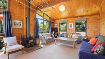 TV, fireplace, books