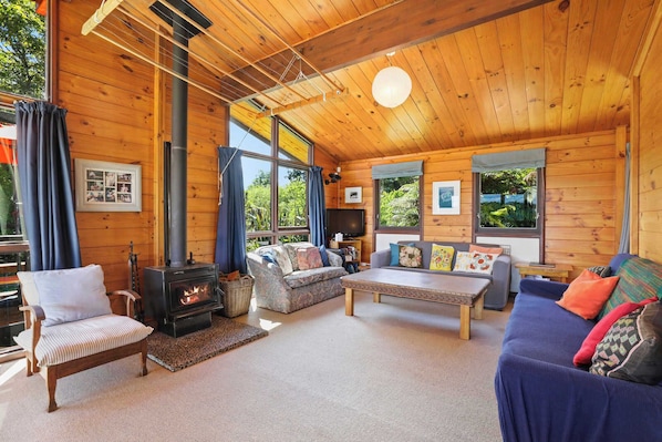 TV, fireplace, books