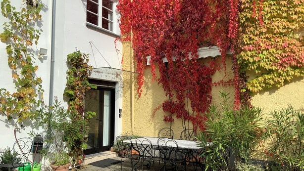 A courtyard with a table and chairs, potted plants, and a building with ivy.