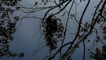 舒適平房, 露台, 花園景 | 客廳