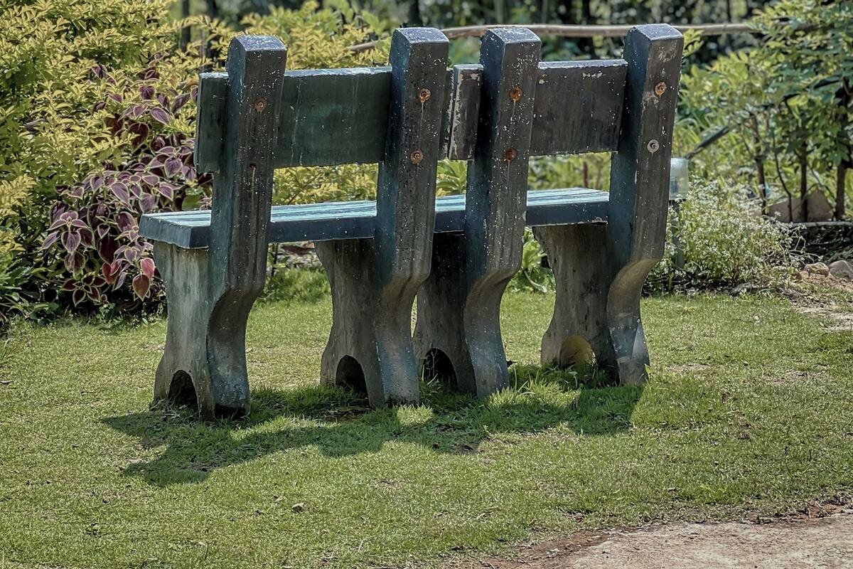 A bench in a park with a grassy area and trees in the background.