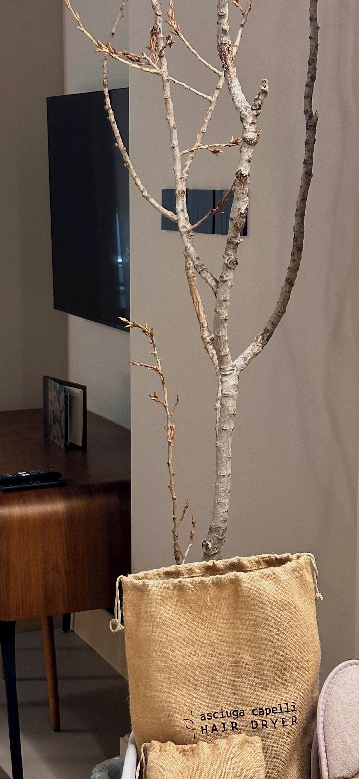 A room with a wooden desk, a television mounted on the wall, and a branch in a burlap bag labeled "Asiuga Capelli Hair Dryer".