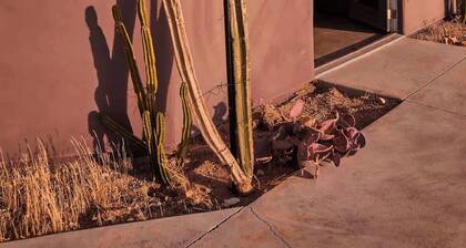 Hawkeye Dome | Pool & Spa on 112 Secluded Acres