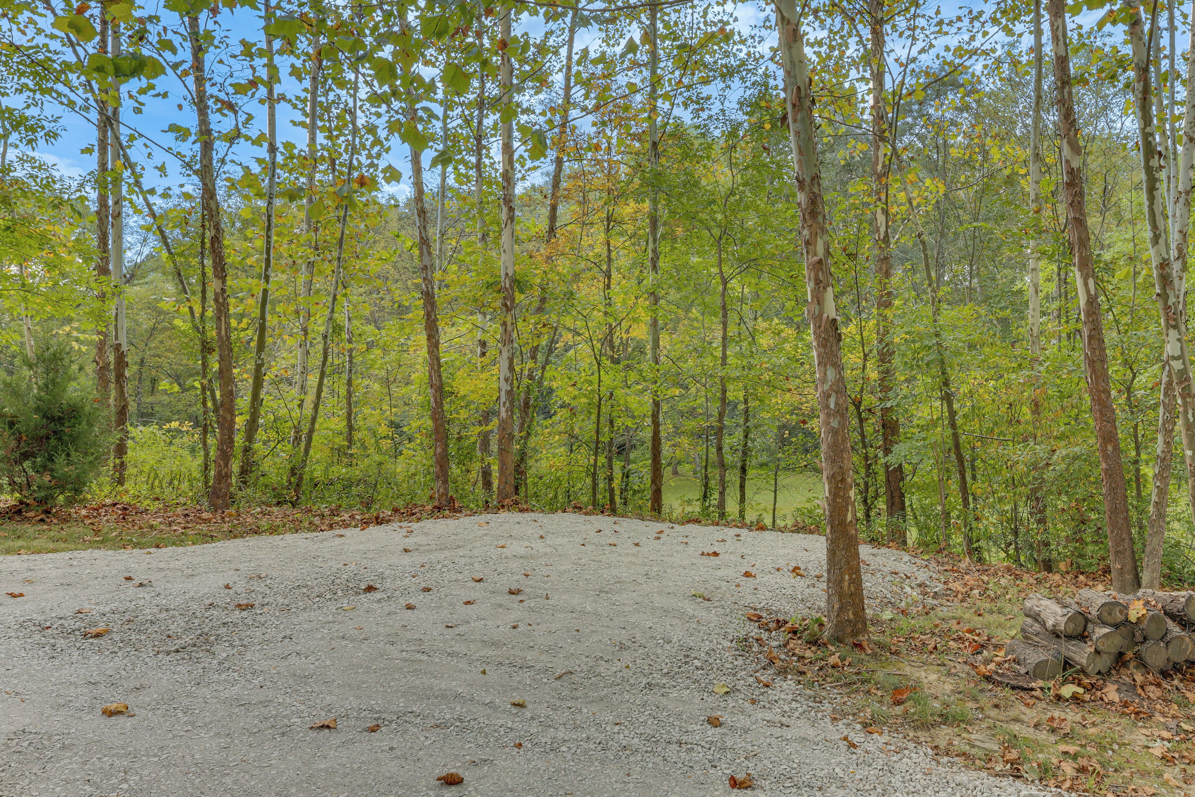 A gravel parking area surrounded by trees with some fallen leaves.
