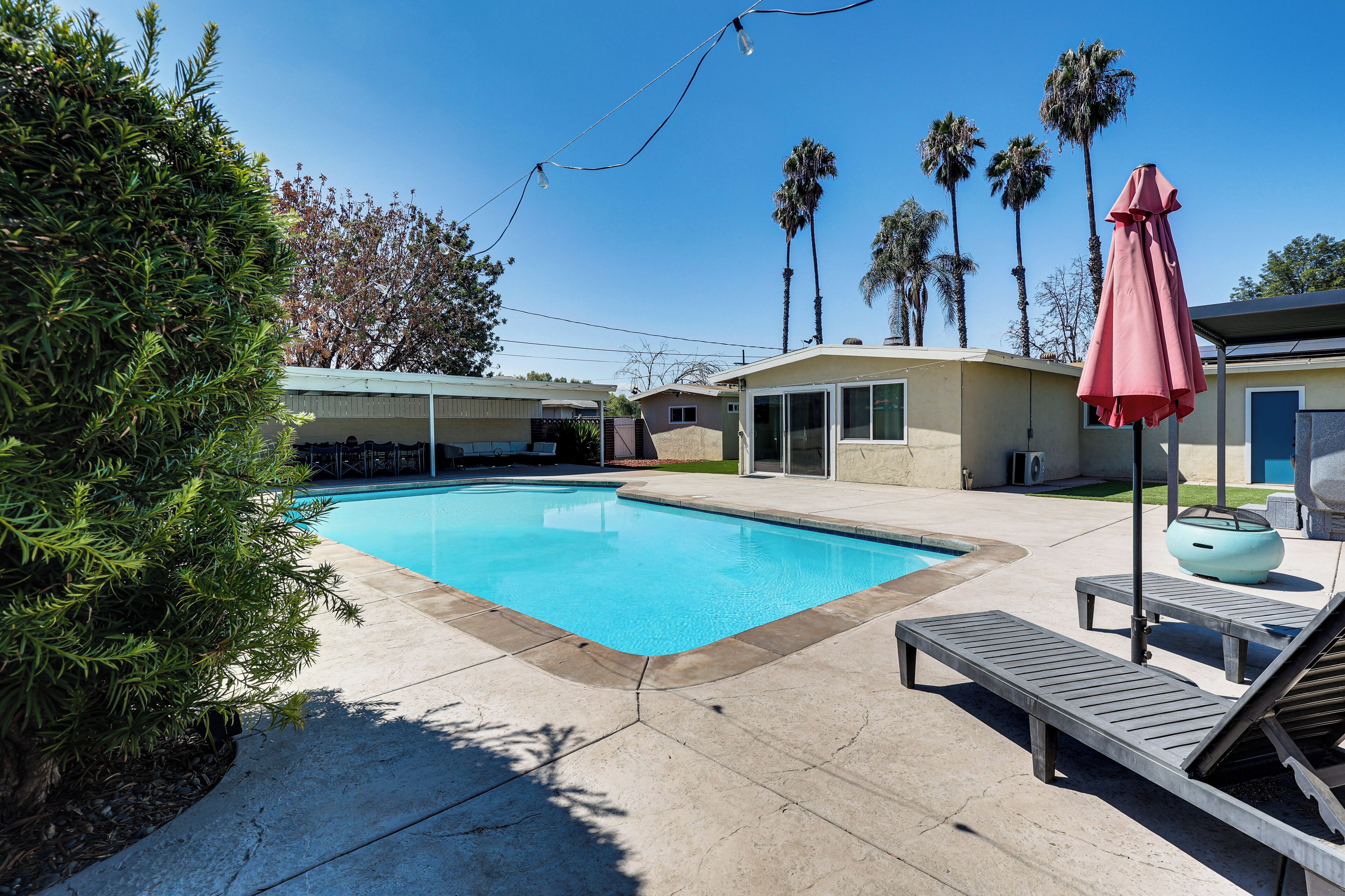 A swimming pool with lounge chairs and a covered umbrella, surrounded by palm trees and a clear blue sky.