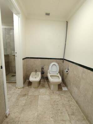 Hair dryer, towels, toilet paper