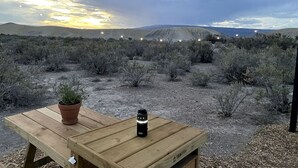A wooden table with a potted plant and a water bottle under a canopy in a desert landscape.