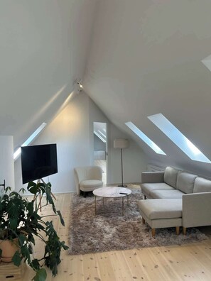 TV, fireplace, offices