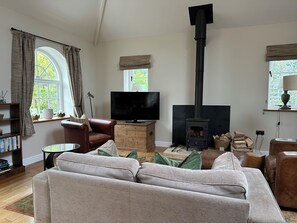 Fernseher, Kamin