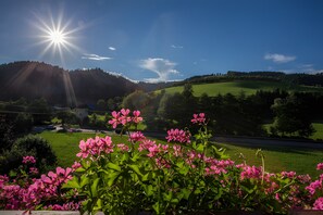 A landscape with a clear sky, sun, and green fields.