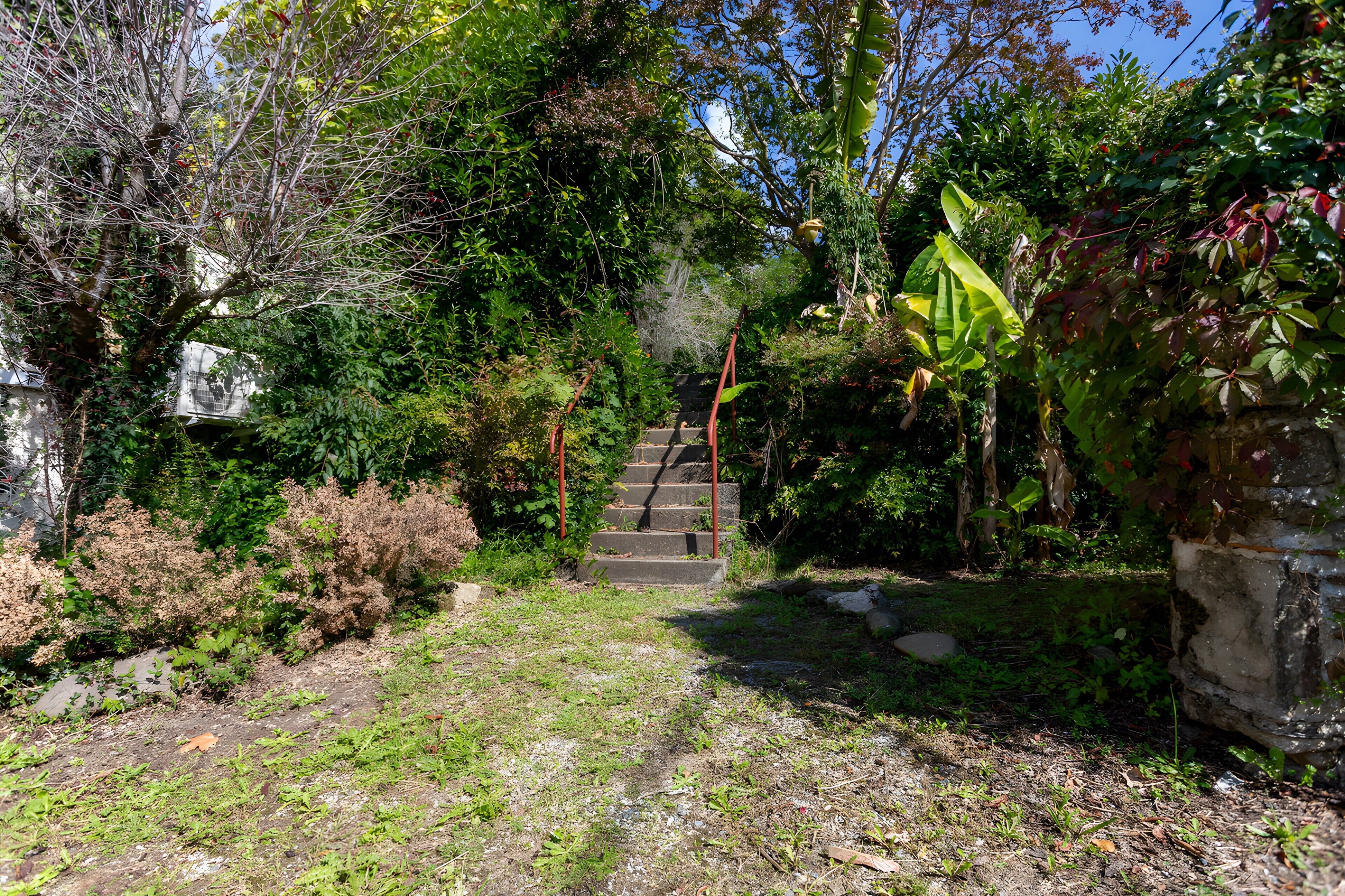 A garden with a stone staircase leading to a building.