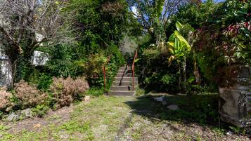 A garden with a stone staircase leading to a building.