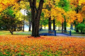 House, 2 Bedrooms | Property grounds - The Chocolate Suite - Walkable And Peaceful 2 Bedroom Home (St. Louis)