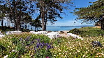 Studio | Outdoor dining