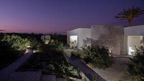 A modern house with a stone facade, a pathway leading to the entrance, and a palm tree in the background.