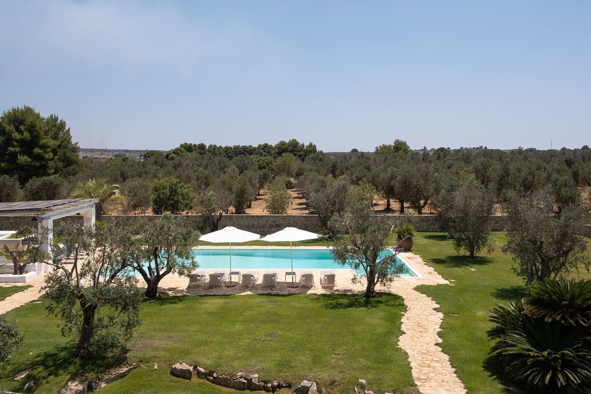 Masseria Cisterna Rossa's gorgeous pool and the surrounding olive orchards.