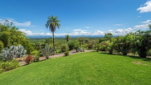 Une pelouse verdoyante et luxuriante, agrémentée de palmiers et de plantes tropicales.