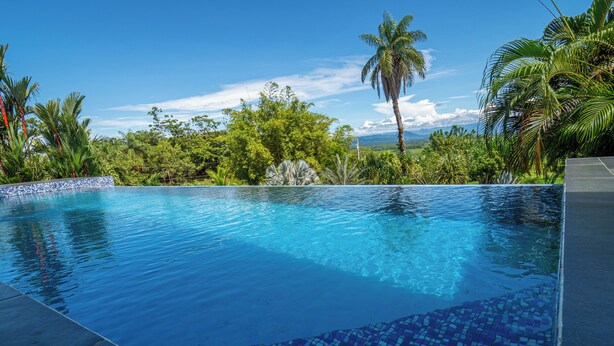 Une piscine d’un bleu éclatant, bordée de carreaux, entourée d’une végétation luxuriante et de palmiers.