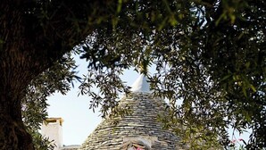 A rustic stone house with a wooden bench in front, surrounded by lush greenery and flowering plants. - I Trulli delle Sette Sorelle (Monopoli)