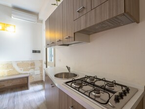 Fridge, stovetop, cookware/dishes/utensils