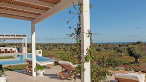 A covered outdoor area with a pool, lounge chairs, and a view of the landscape.