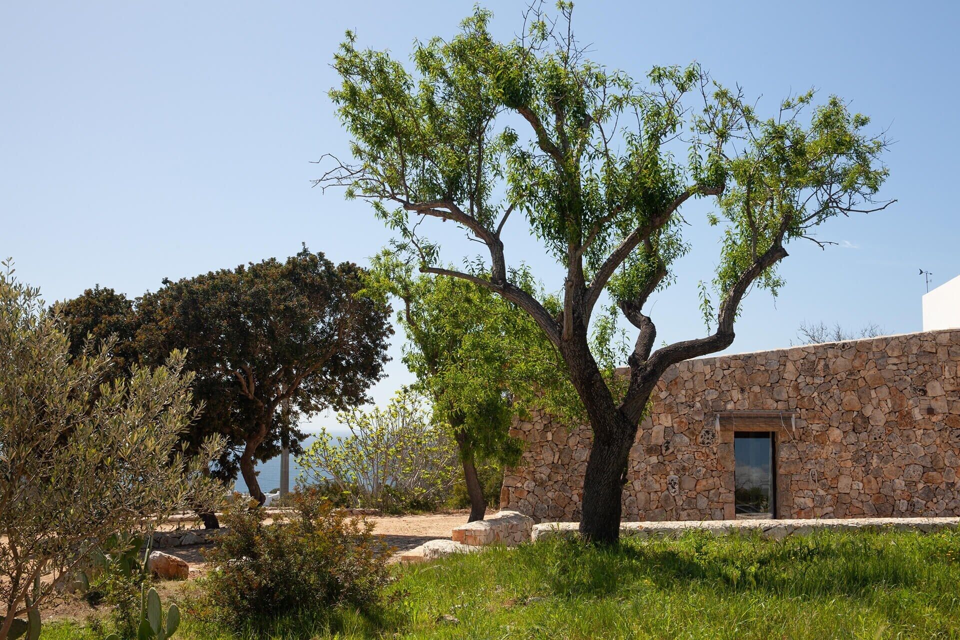 Ein Gebäude aus Stein mit einer Tür und einem Baum davor.