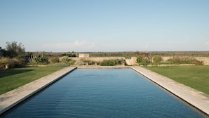 Une piscine rectangulaire bordée de pierres, entourée d’une pelouse et de quelques plantes.