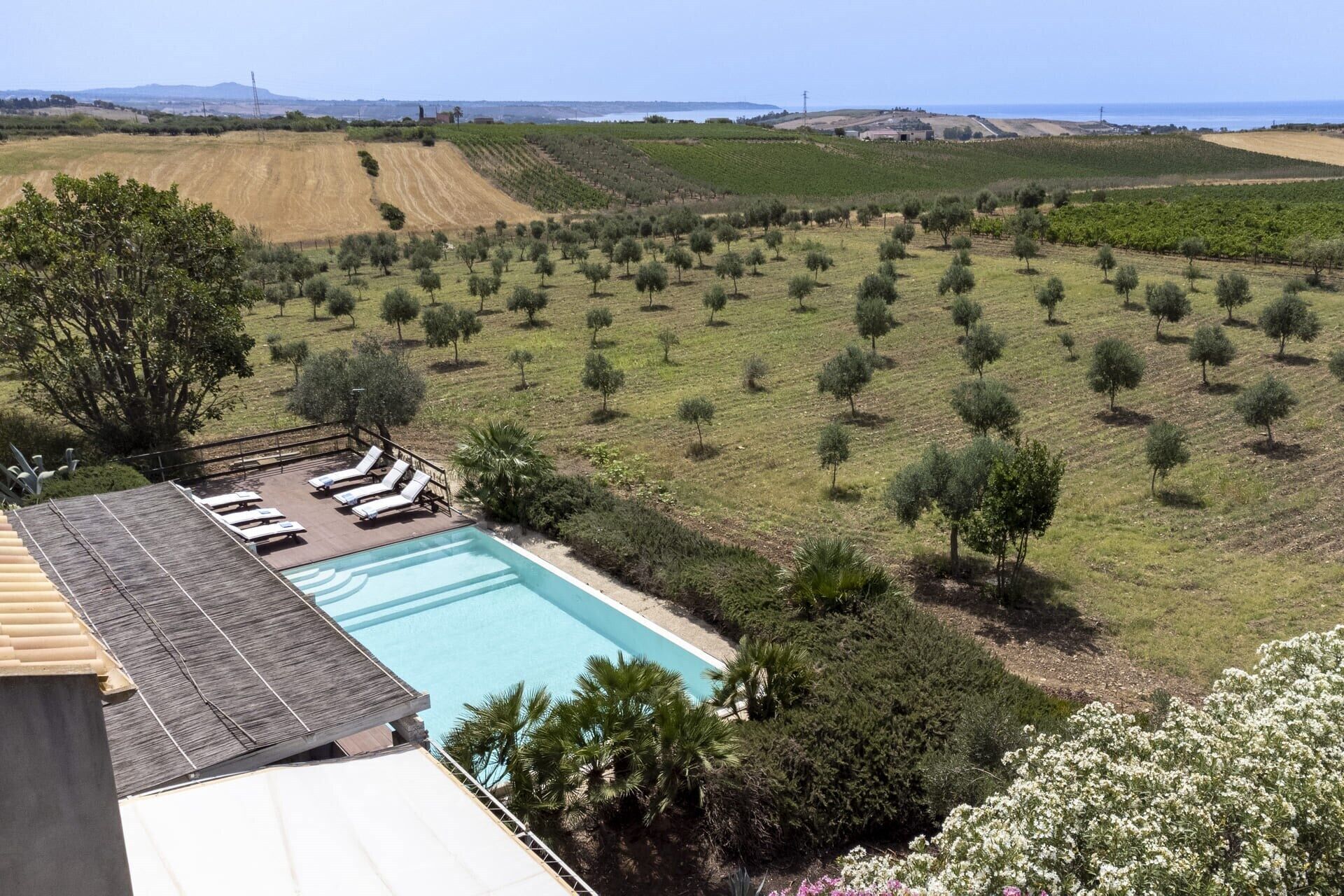 A pool area with lounge chairs, surrounded by olive groves and a view of the sea.