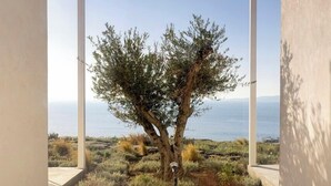 A pathway leading to a tree with a view of the sea.