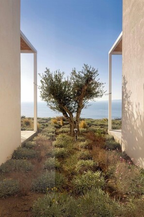 Property grounds - Thetis - Four Bedroom Villa, Sleeps 8 (Thira)