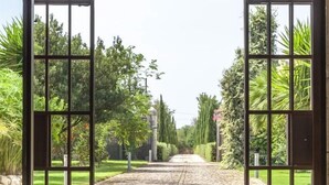 A dining table set for a meal with a view of a cobblestone path and greenery through open gates.