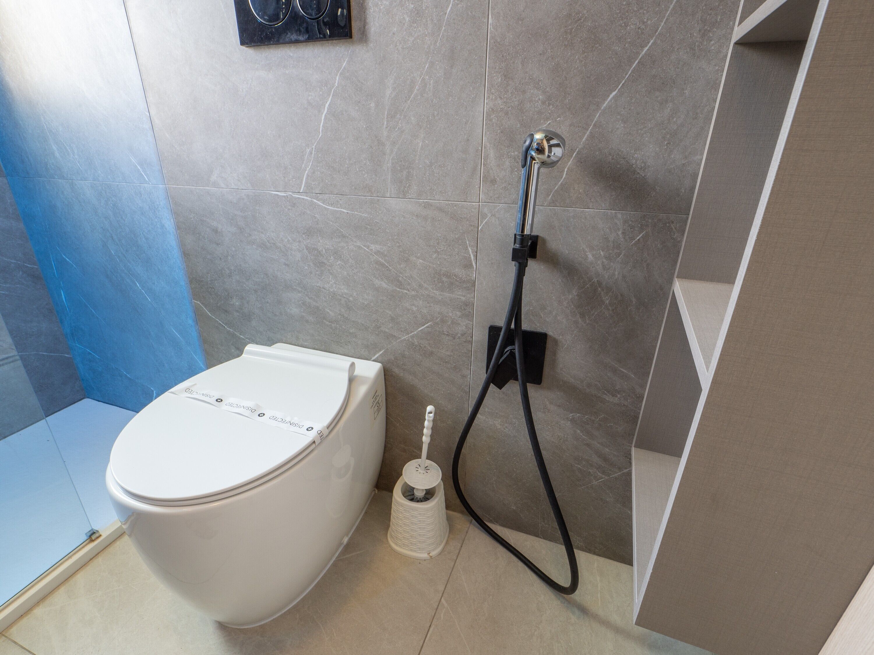 A modern bathroom with a toilet, a handheld showerhead, and a toilet brush.