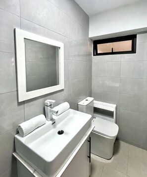 Shower, hair dryer, towels