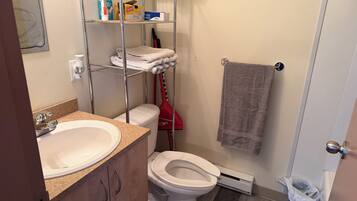 Family Room | Bathroom