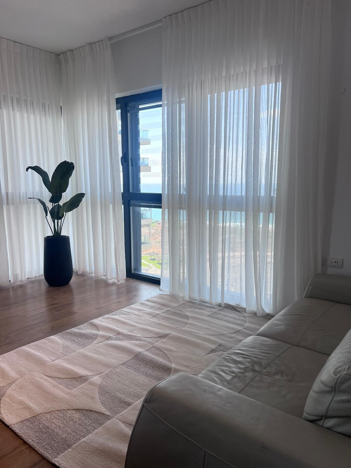 A spacious room with a large bed, a potted plant, and a view through a door to an outdoor area.