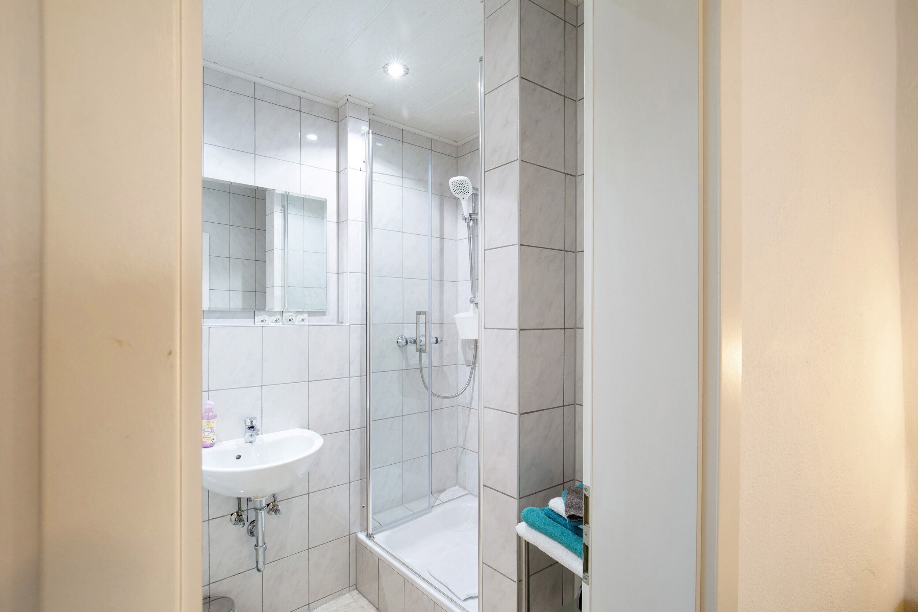 Shower, hair dryer, towels