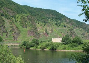 A river with terraced fields and a building on a hill. - Room 'Large Double Room 4' with Lake View, Shared Terrace and Wi-Fi (Briedern)