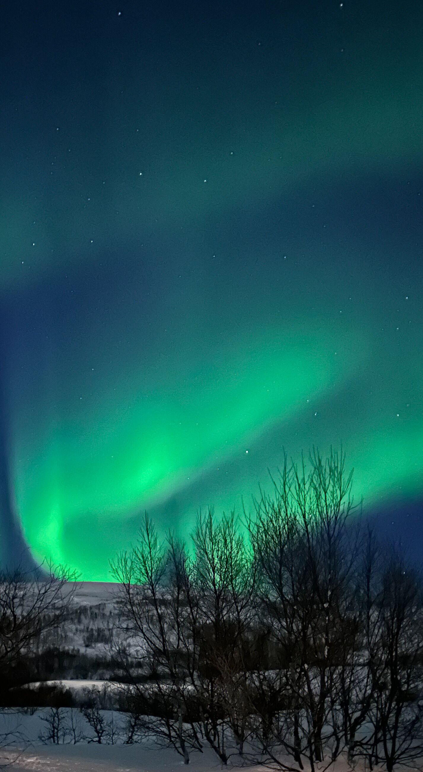 Cielo notturno con l'aurora boreale.