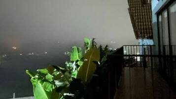 Ărea da propriedade