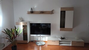 A modern living room with a flat-screen TV, wooden shelves, a mirror, and a potted plant. - Holiday Apartment Doris, 57sqm, 1 Living-/Bedroom, max 2 People (Sinsheim)